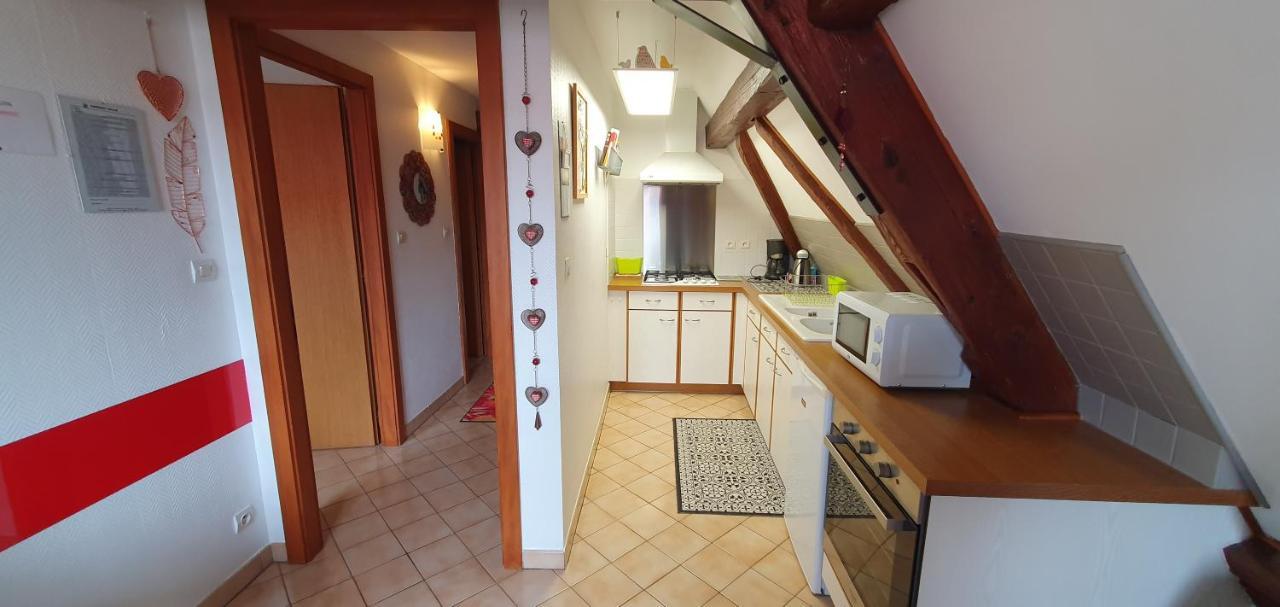 Apartmán Gaby Et Georges Beblenheim Exteriér fotografie